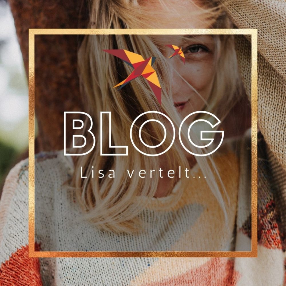 Blog Lisa 1